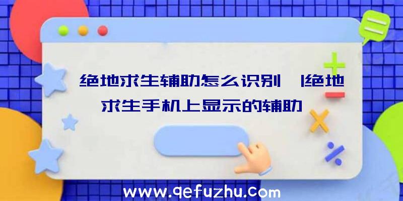 「绝地求生辅助怎么识别」|绝地求生手机上显示的辅助